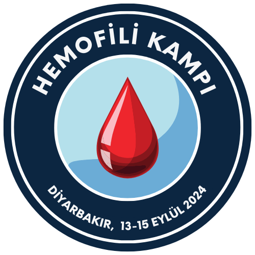 Hemofili Kampı | 13-15 Eylül 2024, Diyarbakır